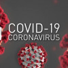 COVID-19/Koronavirüs hastalığının cilt bulguları